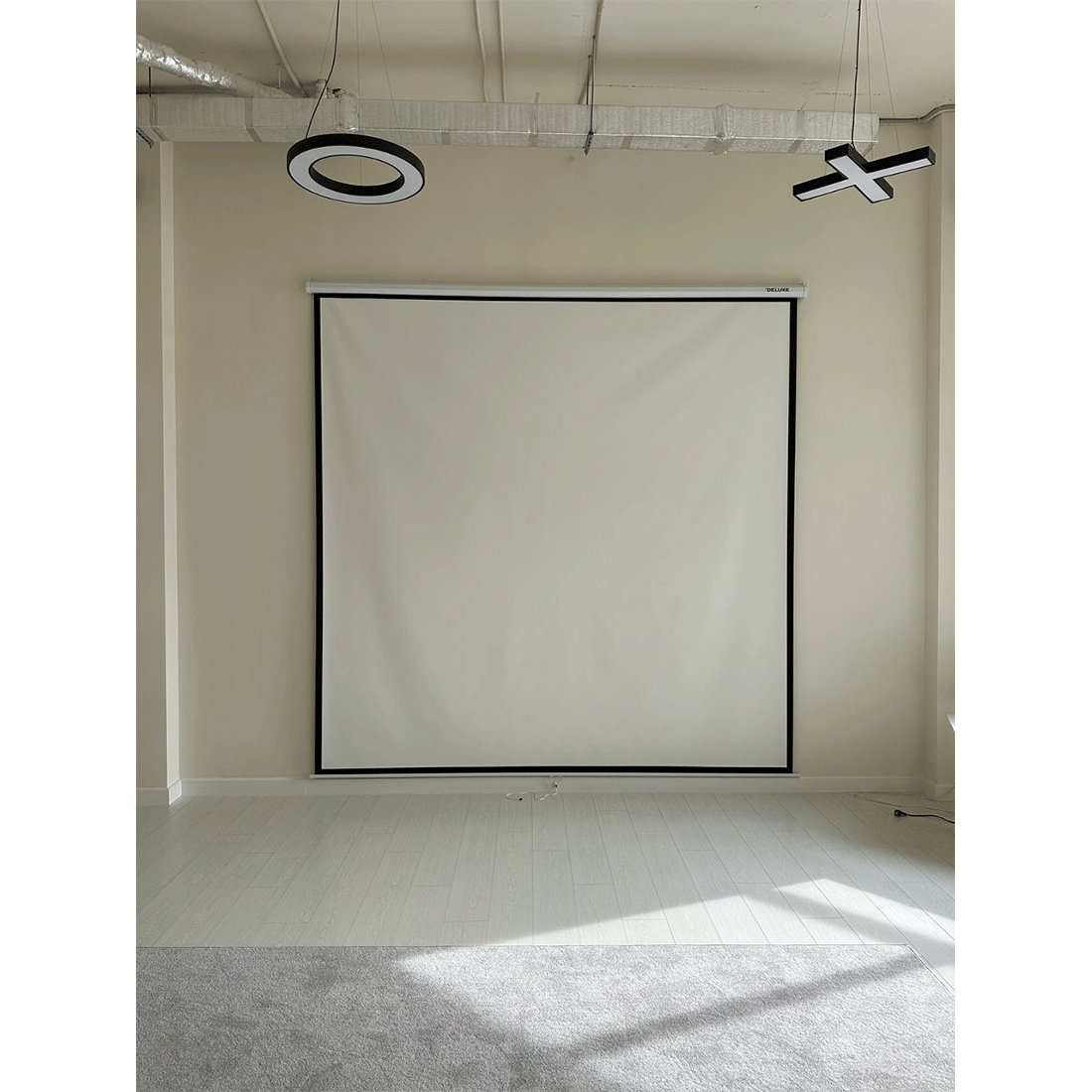 Экран Deluxe DLS-M305W (120"х120"), Ø - 170", Раб. поверхность 297х297 см., 1:1